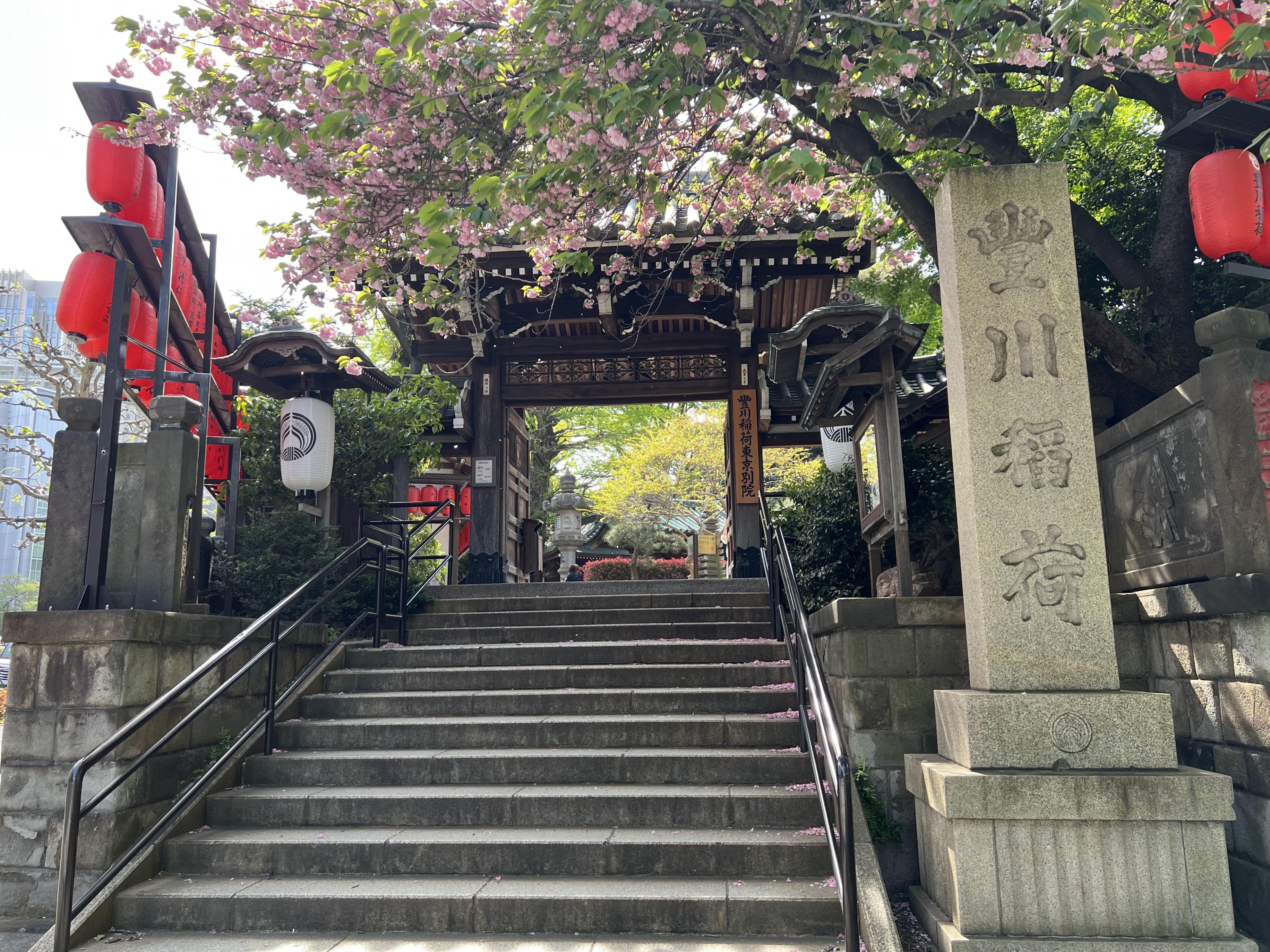 この敷地内です。