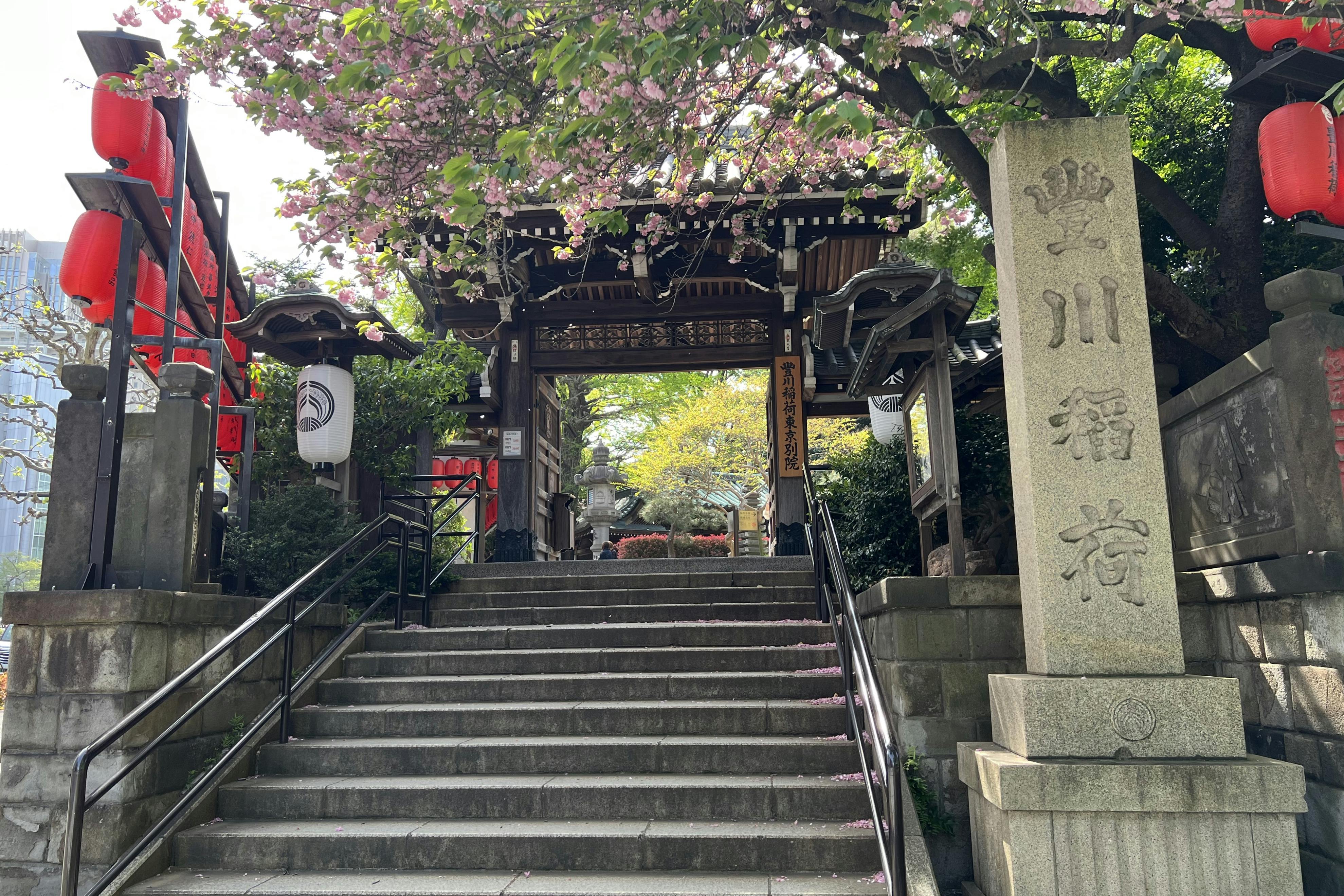 この敷地内です。