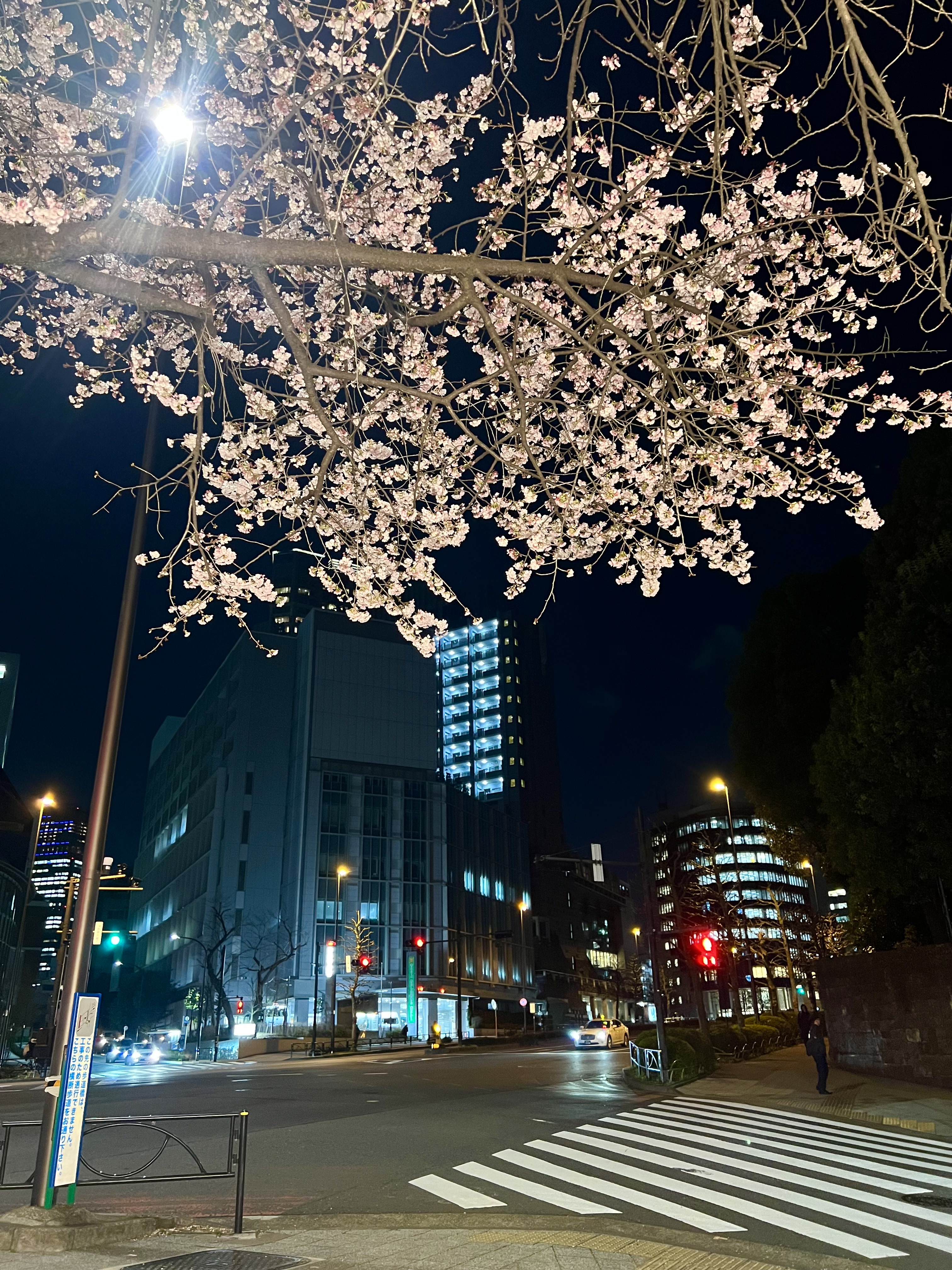 『赤坂警察署前』　の交差点から20秒です。