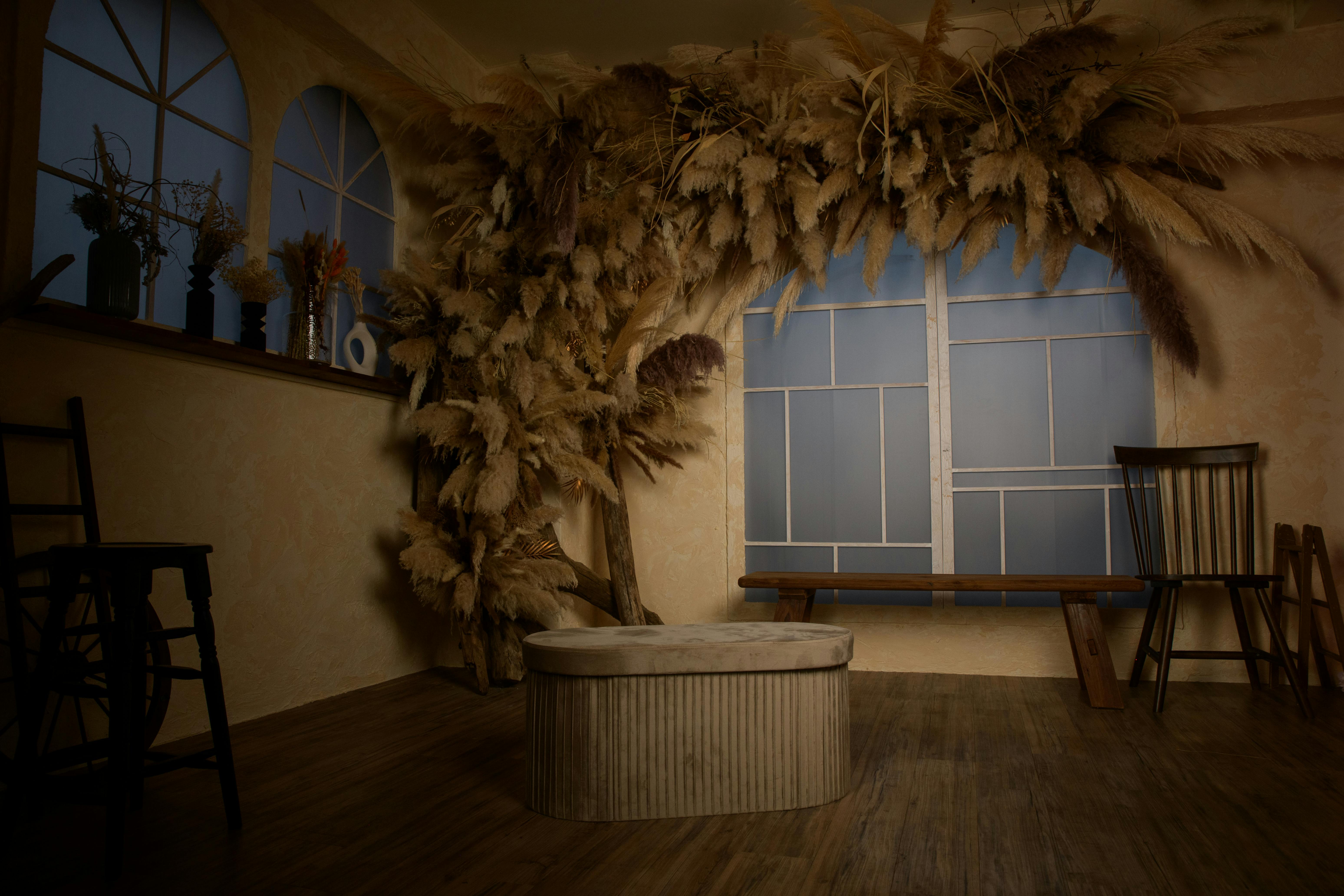 【代官山駅2分】撮影に適した巨大なドライフラワーが特徴的な機材の使用も無料なレンタルスタジオ