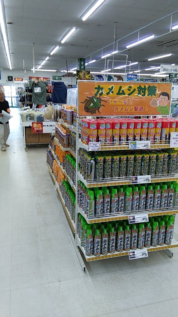 【サンデー櫛引店】屋内レジ前催事スペース　食物販やプロモーション等の出店に最適なホームセンター店内のイベントスペースの画像