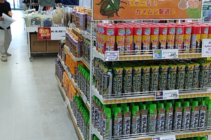 【サンデー櫛引店】屋内レジ前催事スペース 食物販やプロモーション等の出店に最適なホームセンター店内のイベントスペース