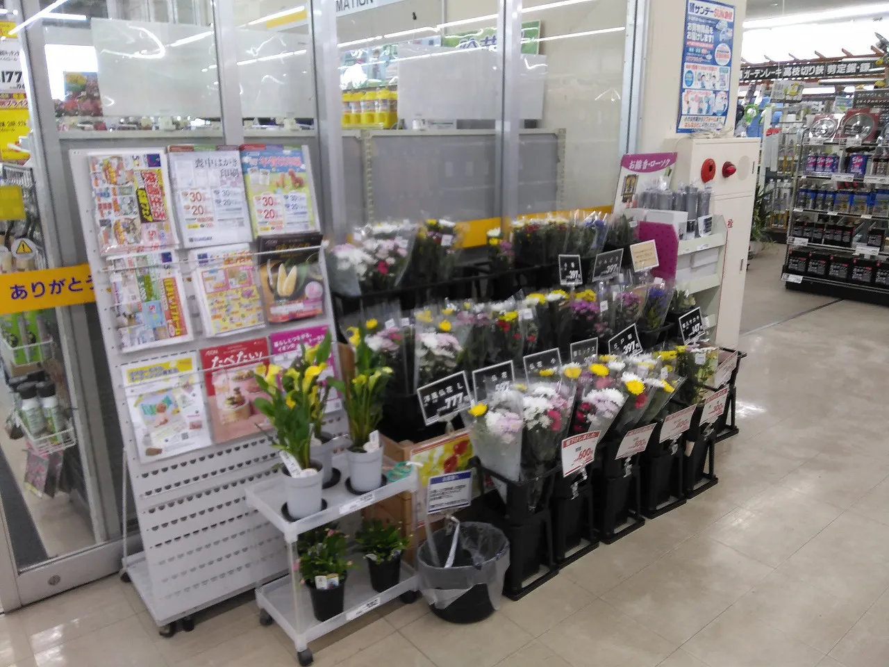 【サンデー北上江釣子店】レジ前　食物販やプロモーション等の出店に最適なホームセンター店内のイベントスペース