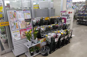 【サンデー北上江釣子店】レジ前 食物販やプロモーション等の出店に最適なホームセンター店内のイベントスペース