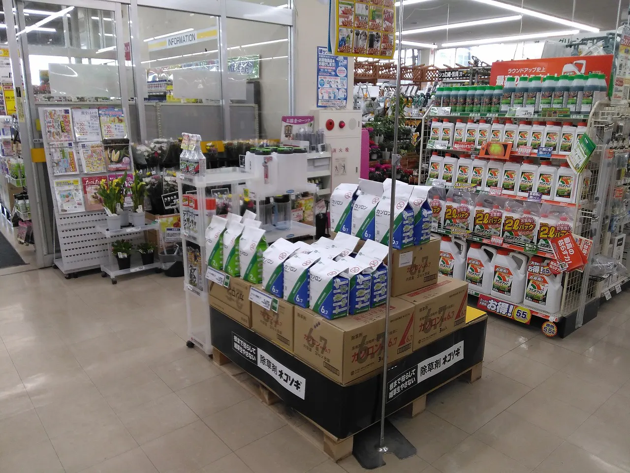 【サンデー北上江釣子店】レジ前　食物販やプロモーション等の出店に最適なホームセンター店内のイベントスペース