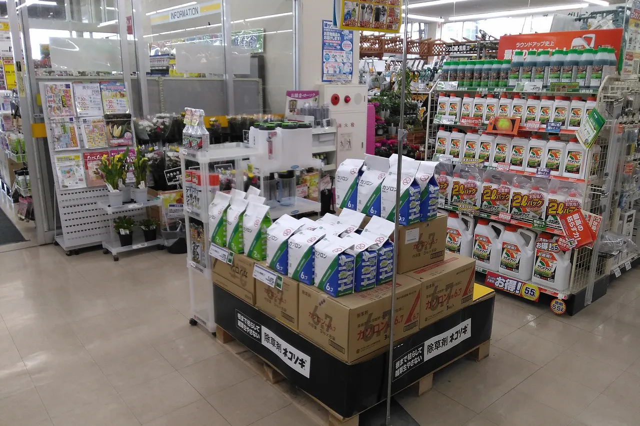 【サンデー北上江釣子店】レジ前 プロモーション等の出店に最適なホームセンター店内のイベントスペース
