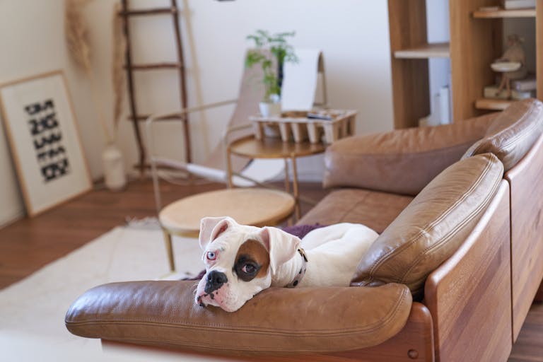 【自由が丘駅12分】CM・ドラマ撮影や展示会に適した家具や小物が豊富なスタジオの画像8