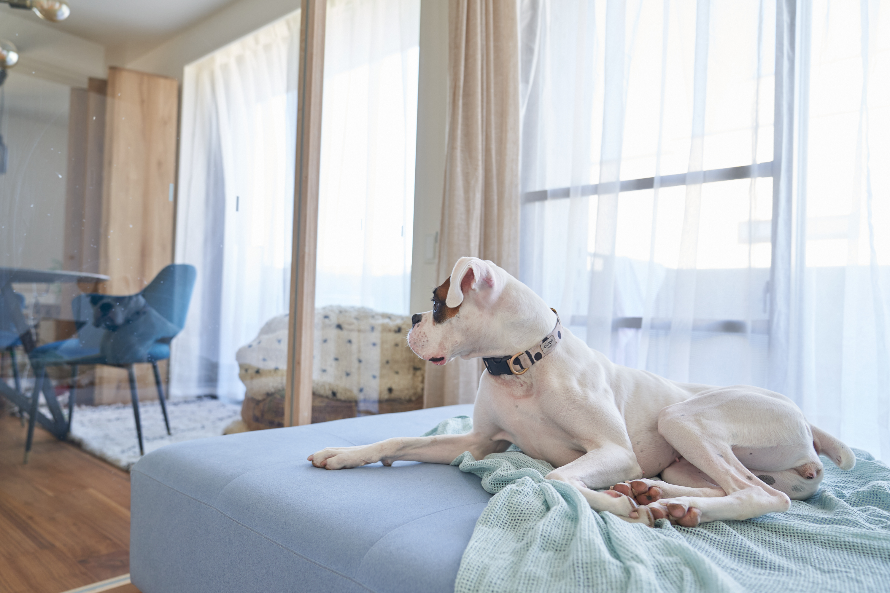 【自由が丘駅12分】CM・ドラマ撮影や展示会に適した家具や小物が豊富なスタジオ