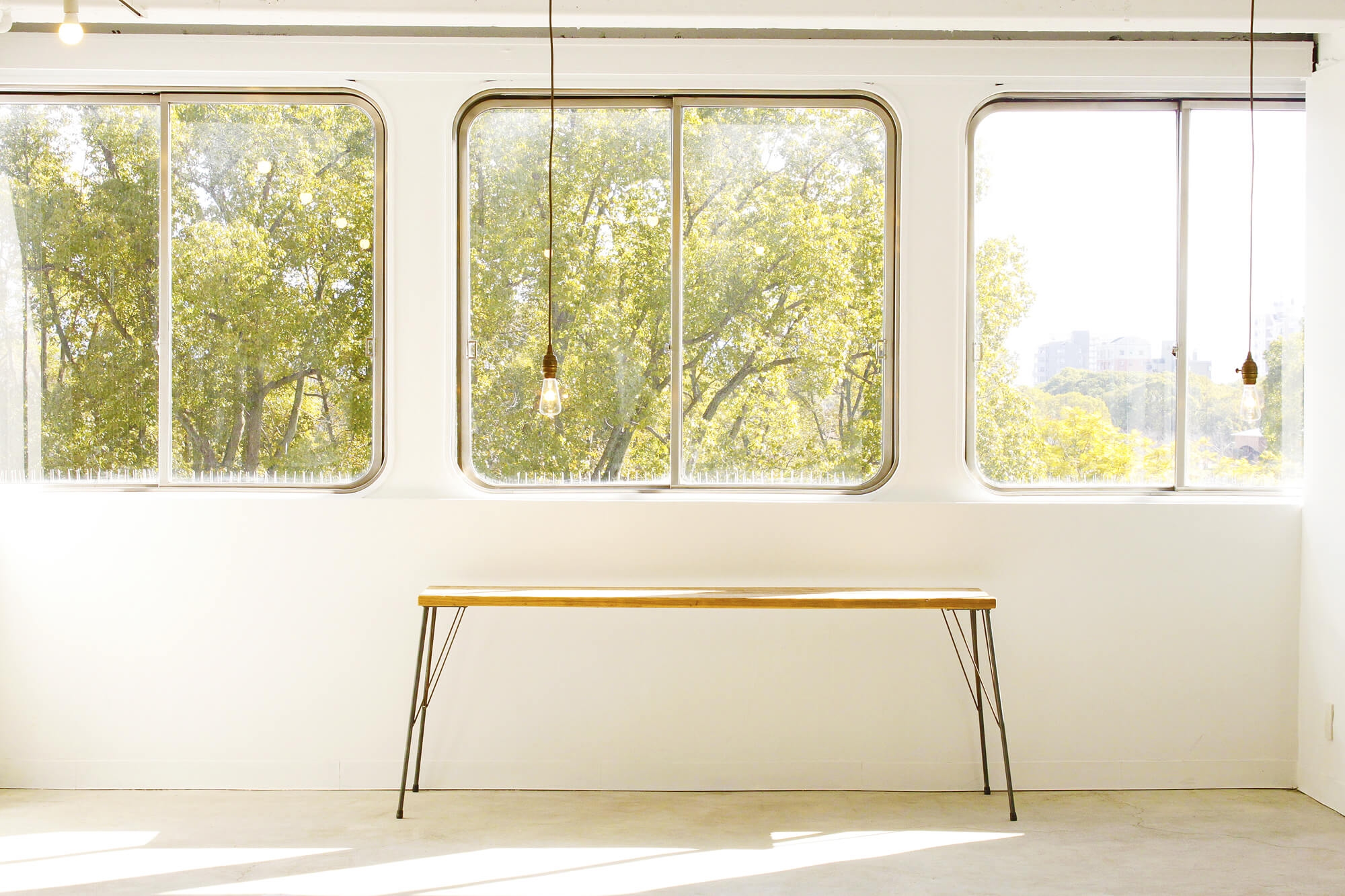 窓からの景色、緑が綺麗です。