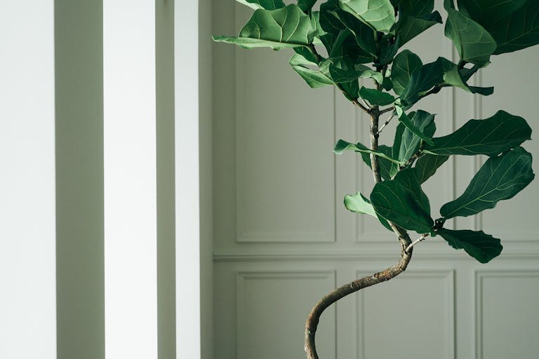 ãå ºçæ¬çºé§
çŽçµããããã¢ããã¹ãã¢ããã¡ãã·ã§ã³å±ç€ºäŒãåçš®æ®åœ±äŒã«é©ããé§
çŽçµå¥œç«å°ã®ãã€ã»ã³ã¹ã¹ããŒã¹ã®ç»å14