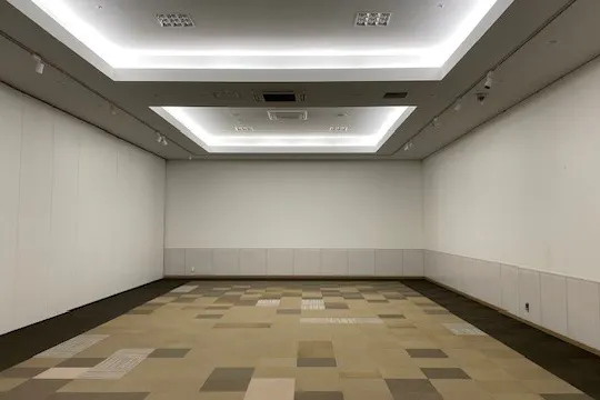 【イオンレイクタウンkaze】3F イオンホールB