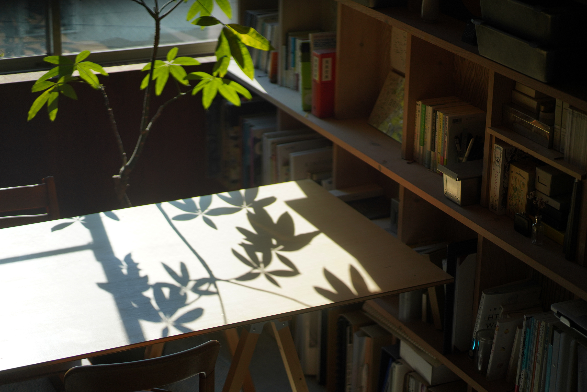 【池ノ上駅6分】撮影に適した光と影・素材が特徴的な自宅兼スタジオ