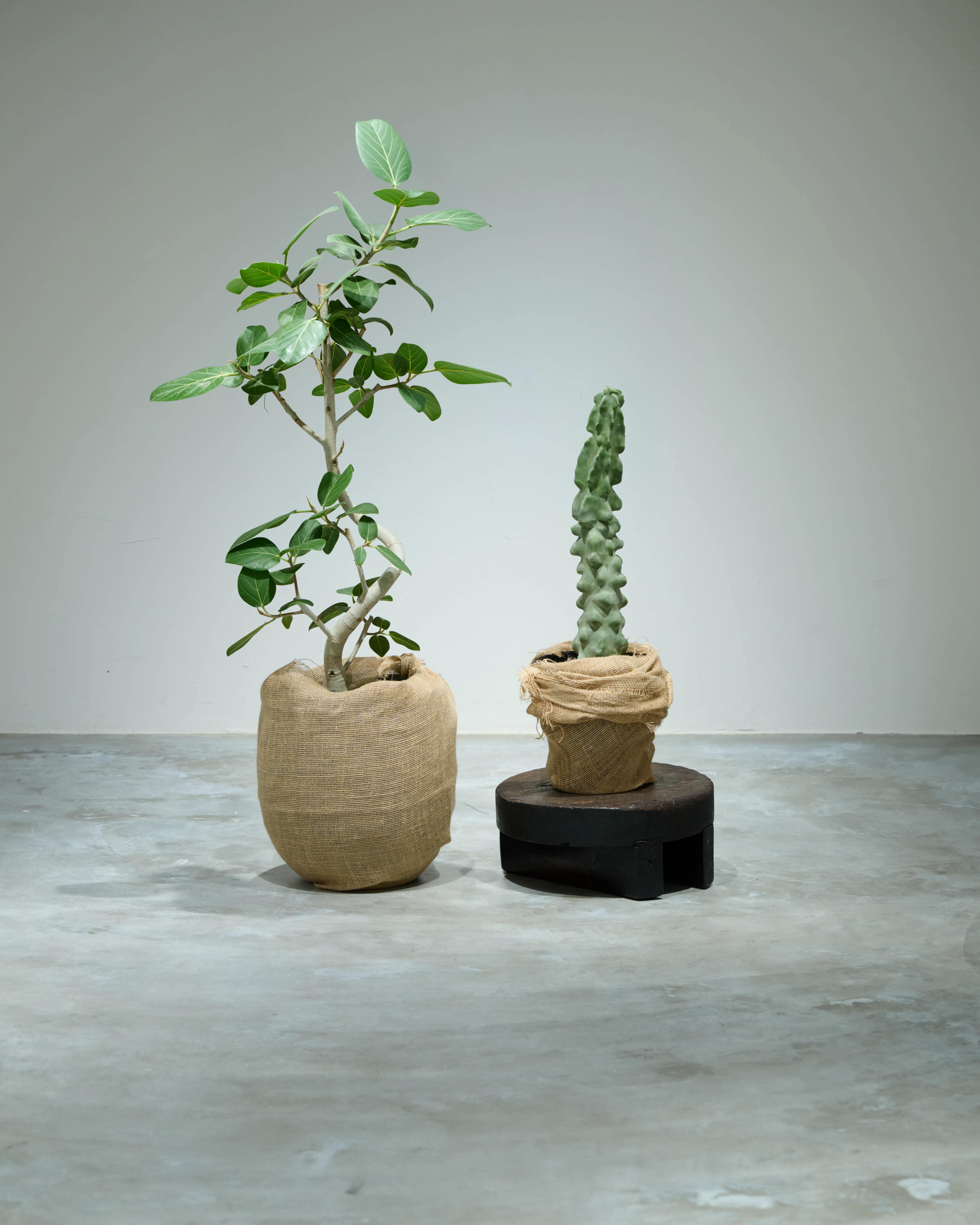 【TEKOTE SPACE｜千駄ヶ谷駅4分】販売・展示・商談を分けて使える約50㎡の1F路面ポップアップスペース