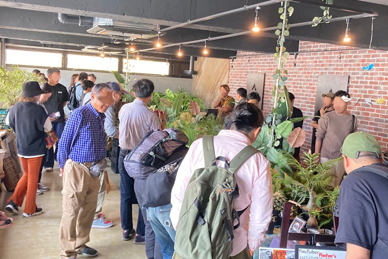 アート展示の様子