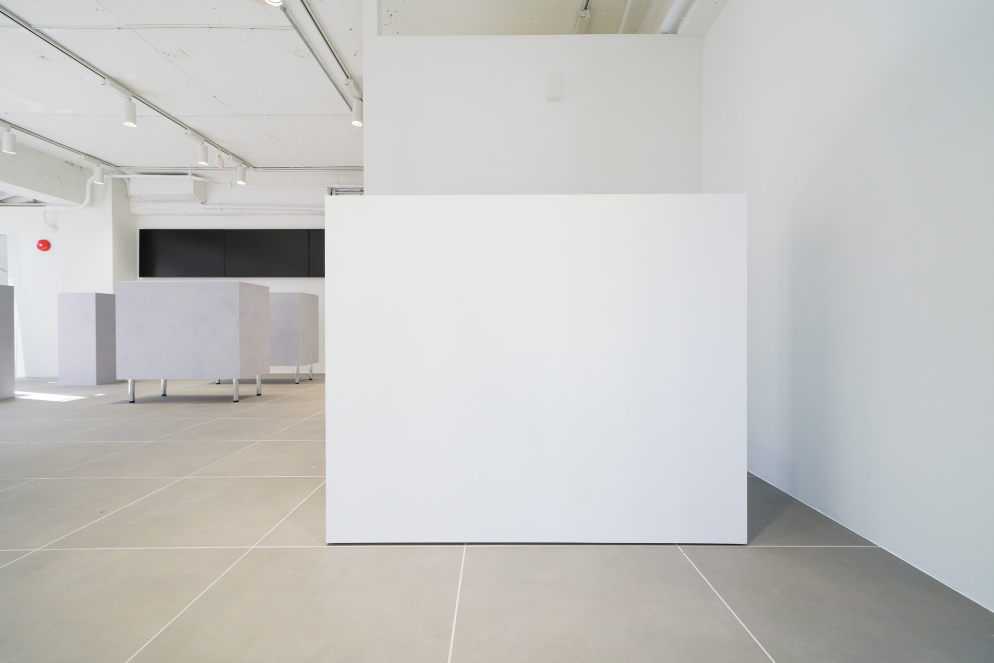 【神宮外苑エリア】視認性抜群、自然光が映える、PR・展示会・アパレルのポップアップストアに最適なスペース