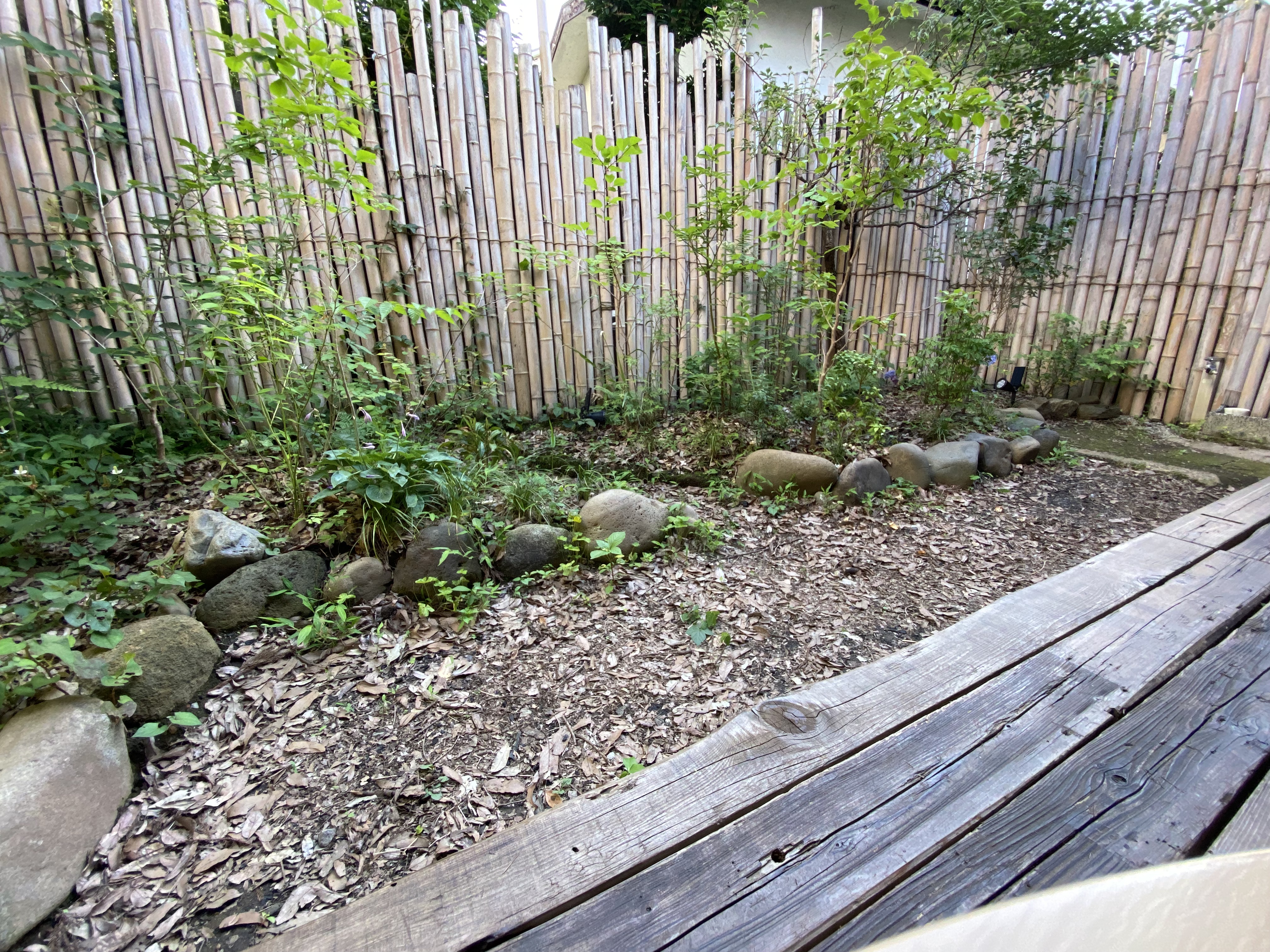 縁側のある中庭。