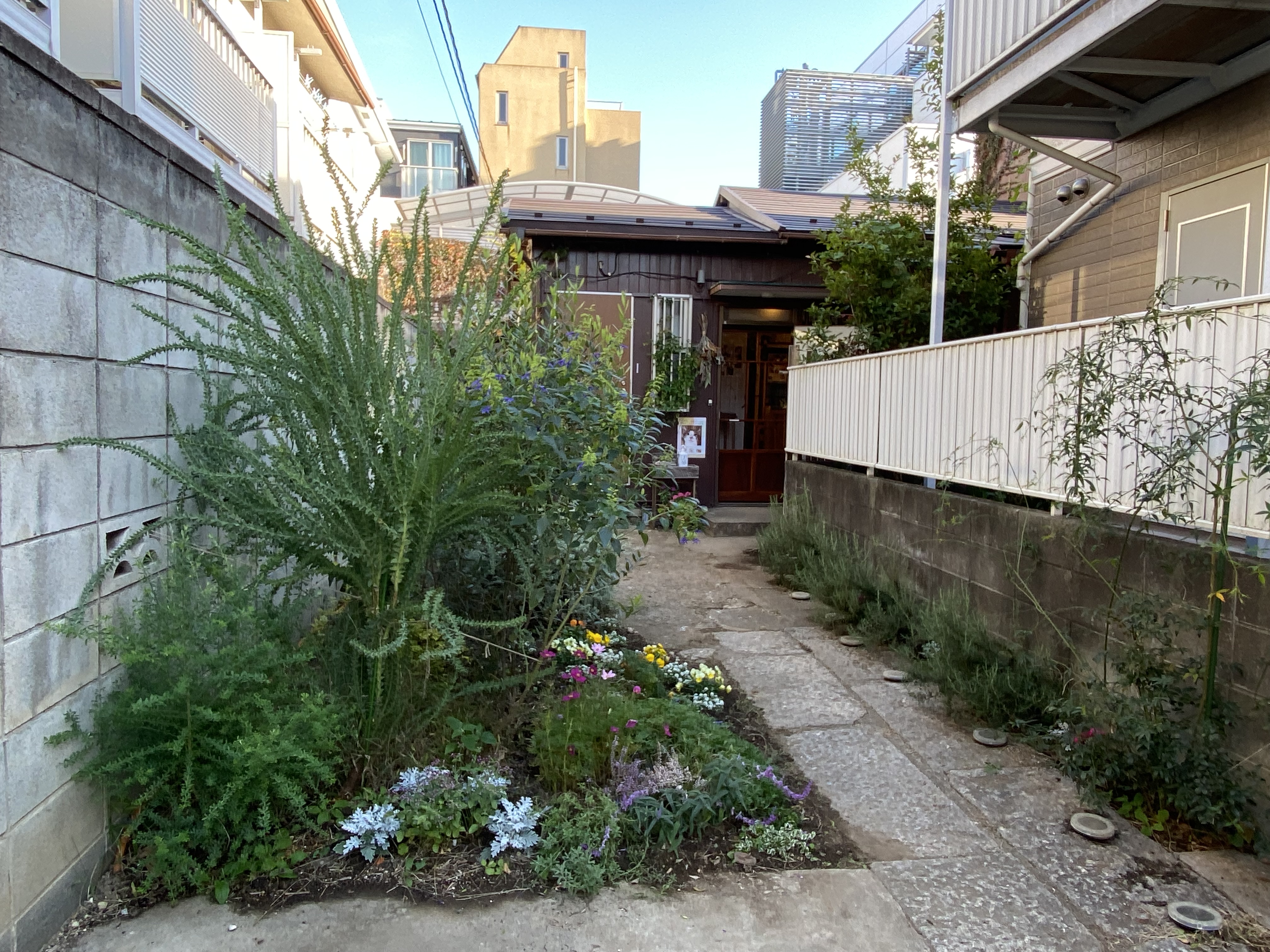 エントランス。