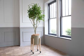 【代官山駅8分】ギャラリーや展示会に適した白×ライトグレーのモダンなイベントスペース