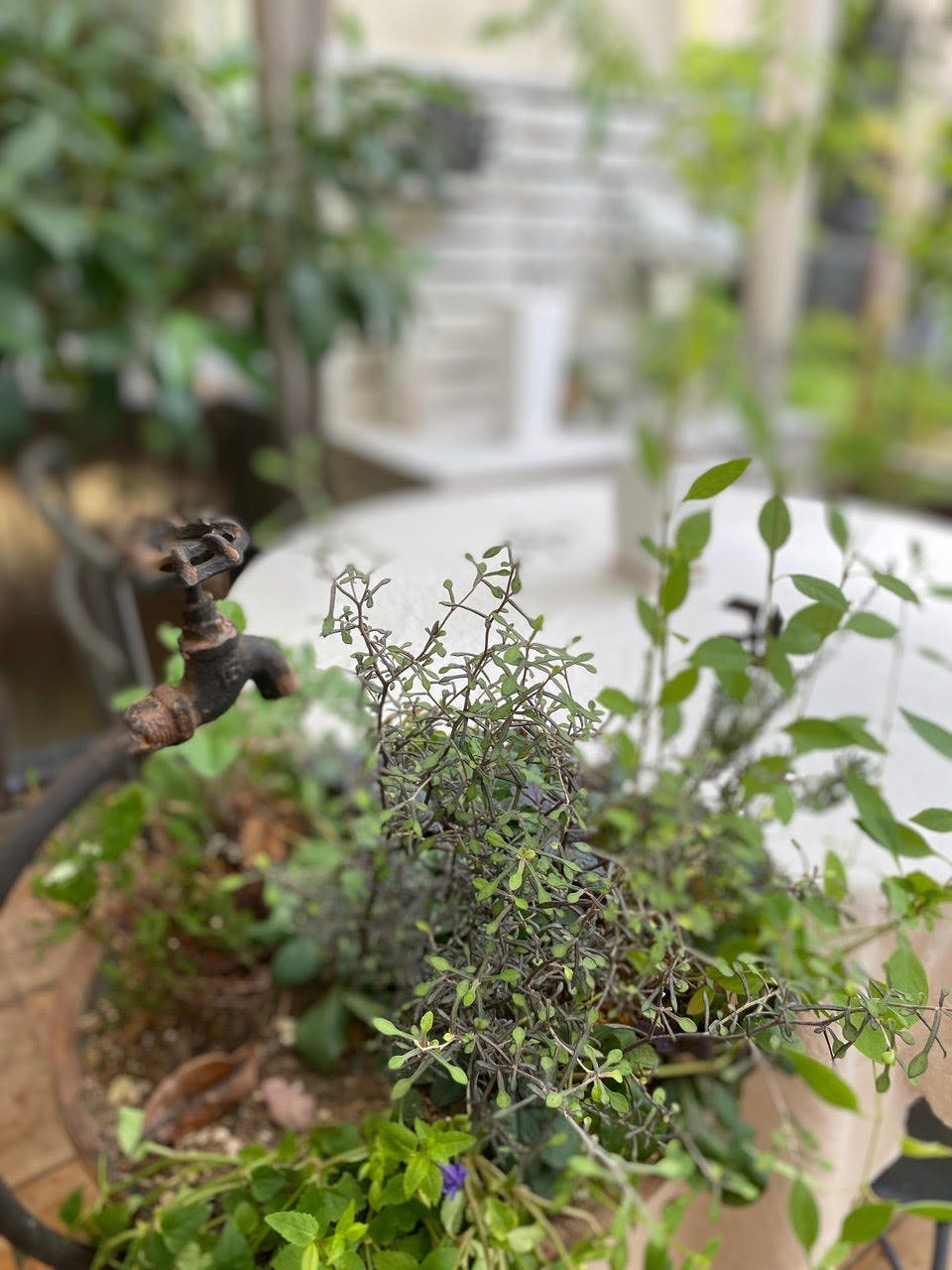 【祖師ヶ谷大蔵駅5分/テラス】ロケや撮影会、ポップアップストアに最適なペットOKのカフェのテラススペース