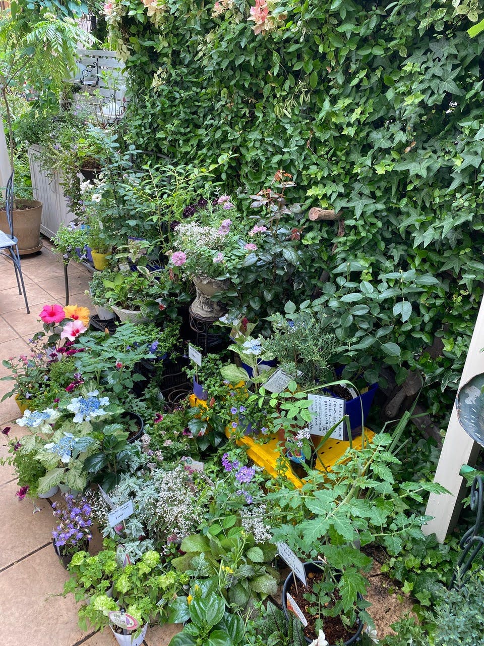 【祖師ヶ谷大蔵駅5分/テラス】ロケや撮影会、ポップアップストアに最適なペットOKのカフェのテラススペース