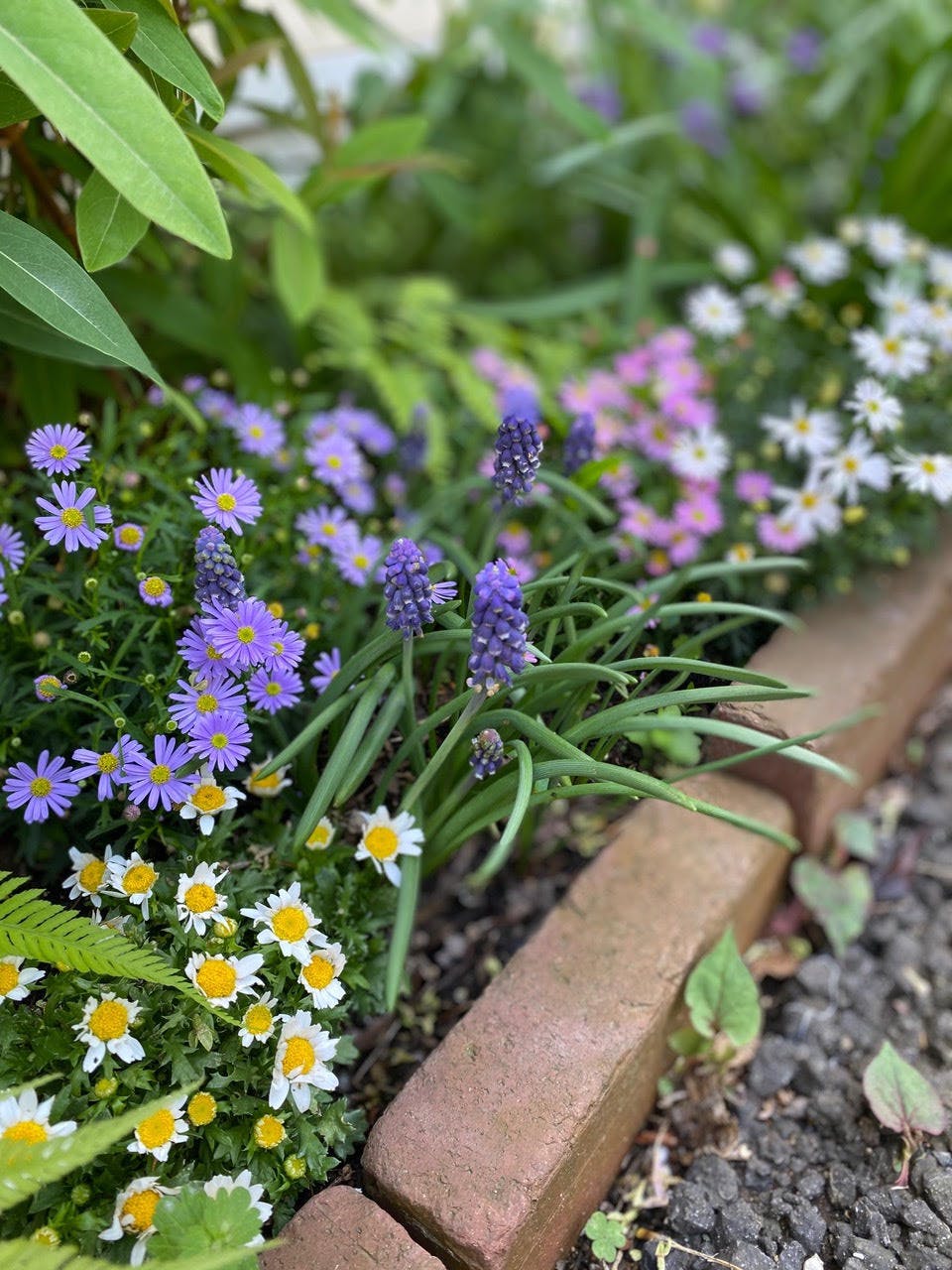 【祖師ヶ谷大蔵駅5分/テラス】ロケや撮影会、ポップアップストアに最適なペットOKのカフェのテラススペース