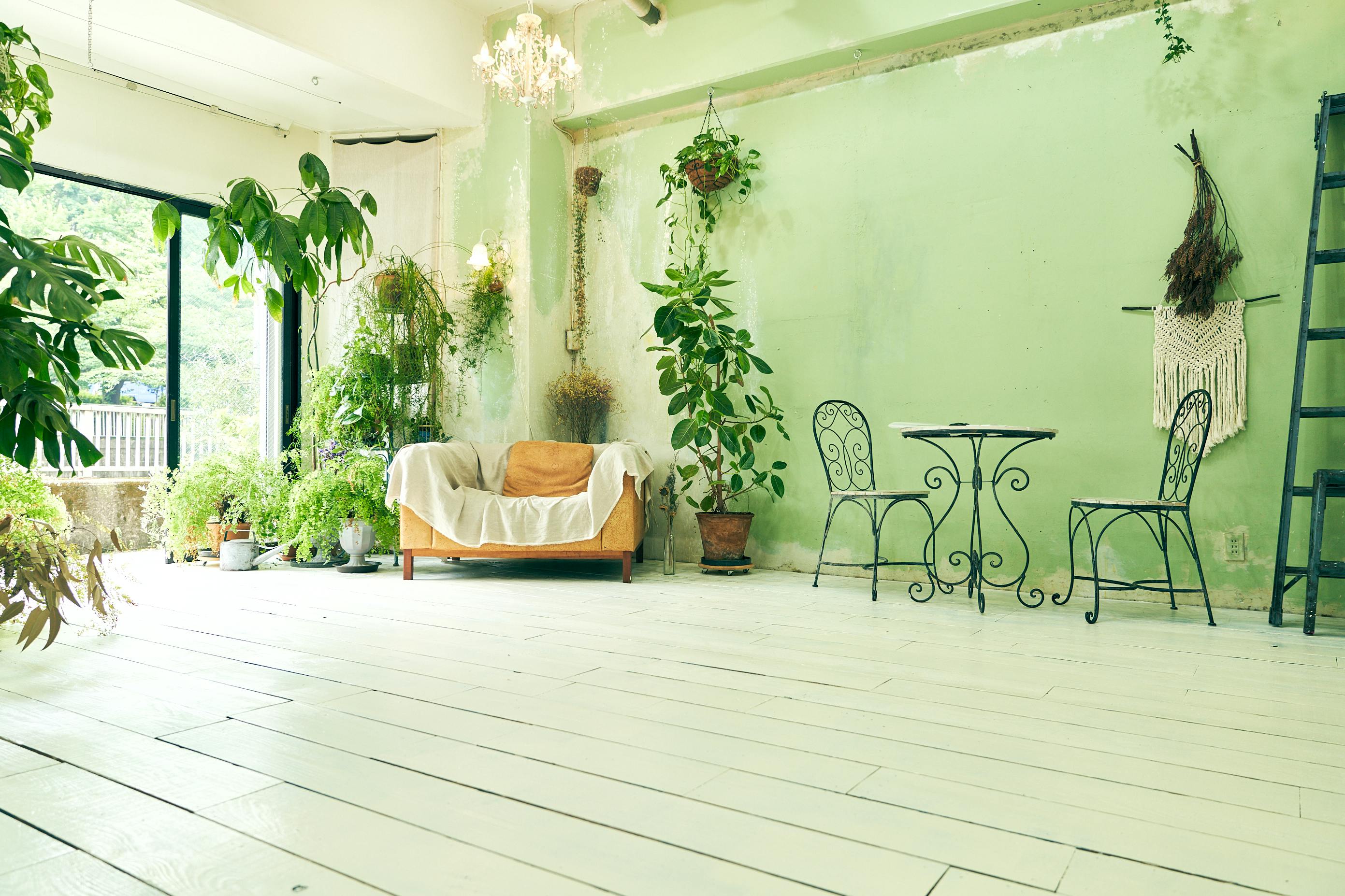 【江戸川橋駅5分】ポップアップストアや展示会に最適なガーリーでシックなイベントスペース