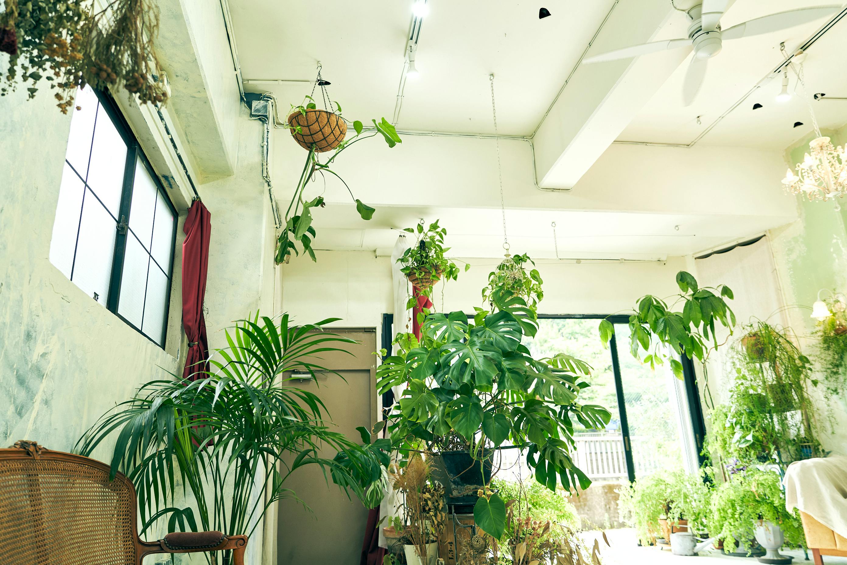 【江戸川橋駅5分】ポップアップストアや展示会に最適なガーリーでシックなイベントスペース