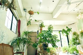 【江戸川橋駅5分】ポップアップストアや展示会に最適なガーリーでシックなイベントスペース