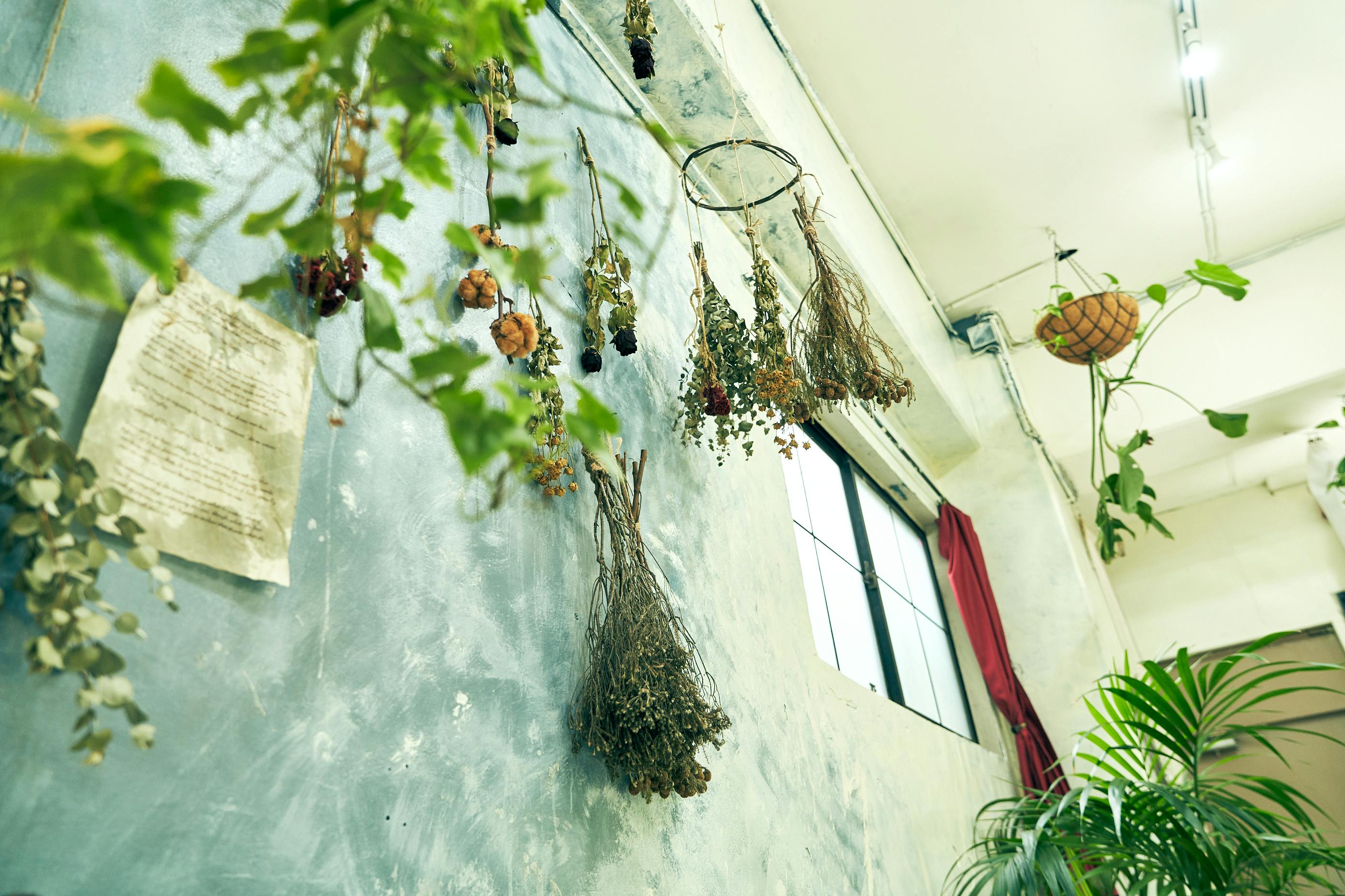 【江戸川橋駅5分】ポップアップストアや展示会に最適なガーリーでシックなイベントスペース