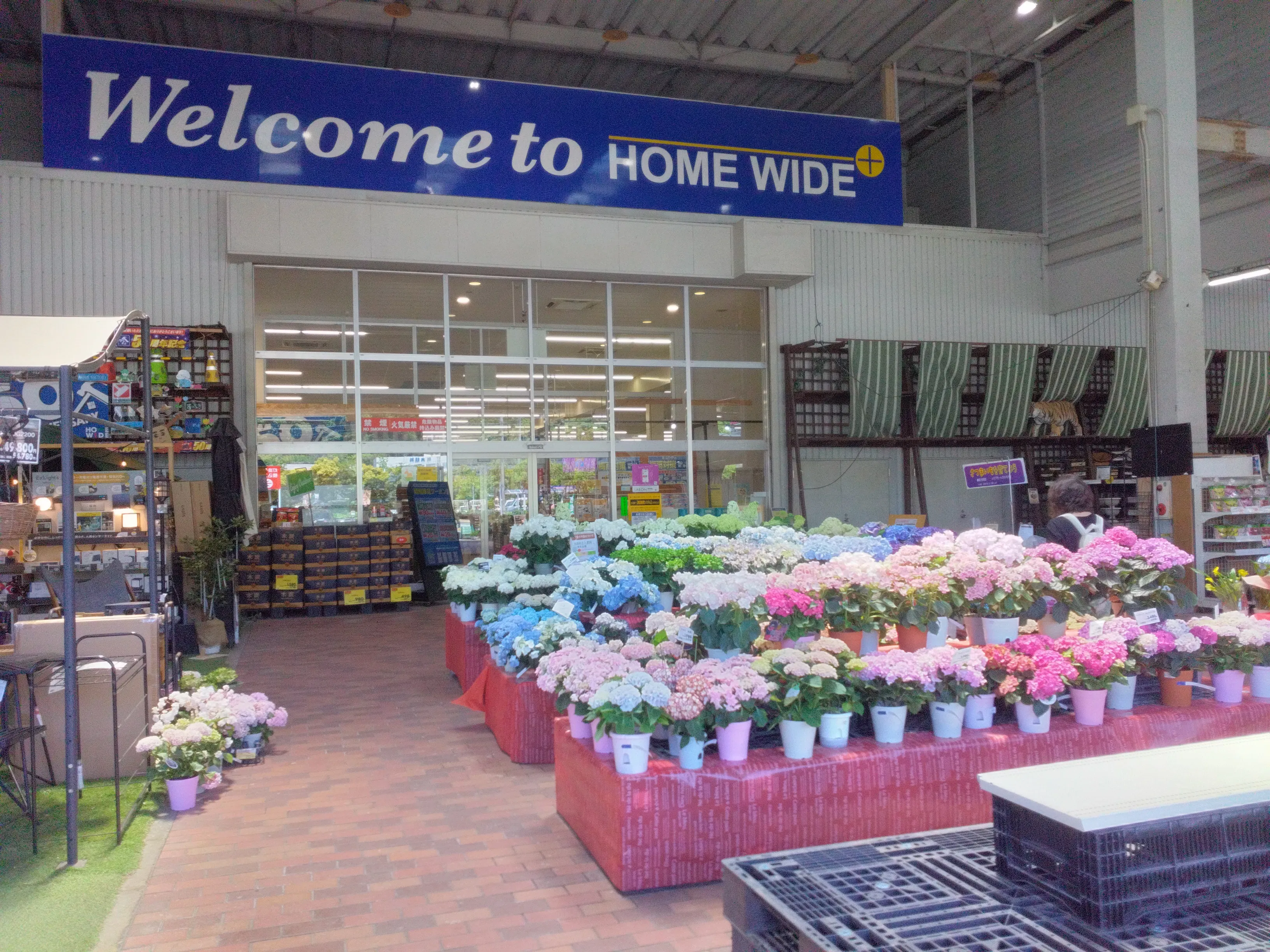 【ホームワイドプラス賀来店（大分県）】外売場　エントランス　催事スペース