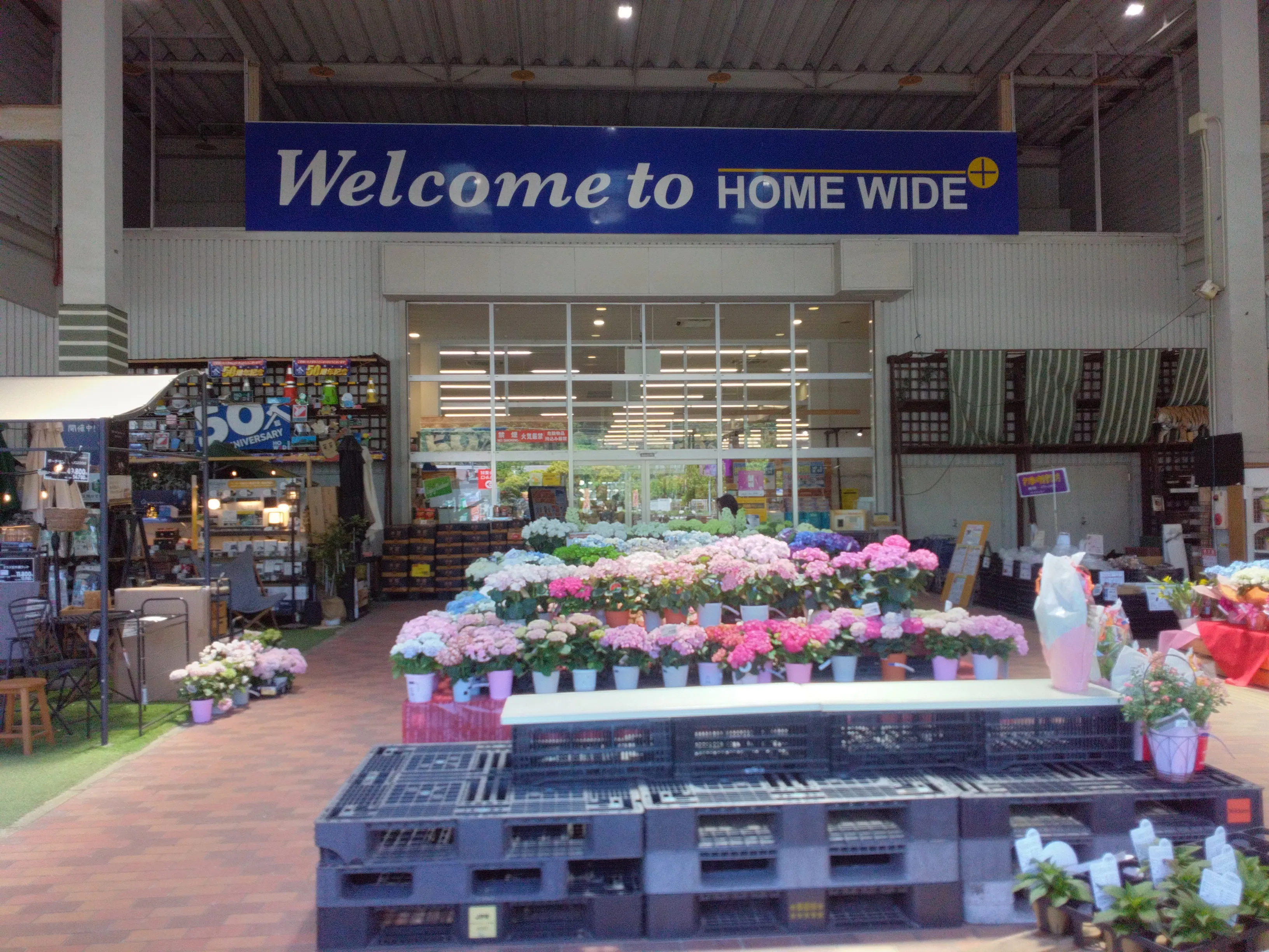 【ホームワイドプラス賀来店（大分県）】外売場　エントランス　催事スペース