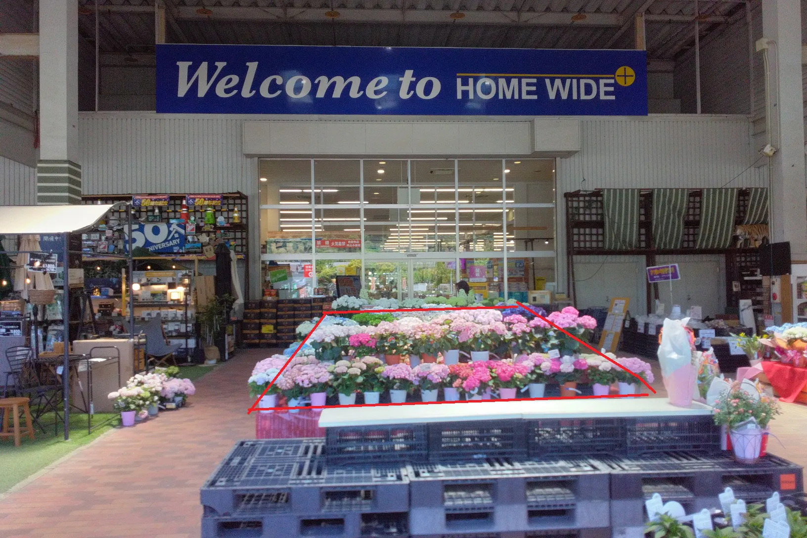 【ホームワイドプラス賀来店(大分県)】外売場 エントランス 催事スペース