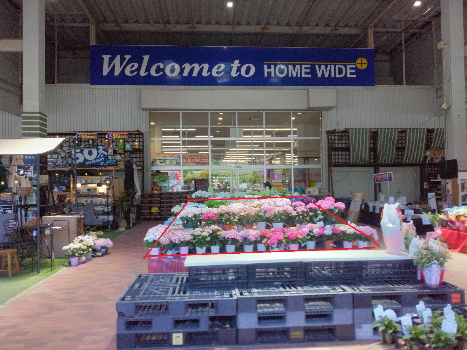【ホームワイドプラス賀来店(大分県)】外売場 エントランス 催事スペース