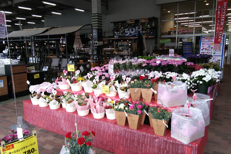 【ホームワイドプラス賀来店(大分県)】外売場 エントランス 催事スペースの画像6