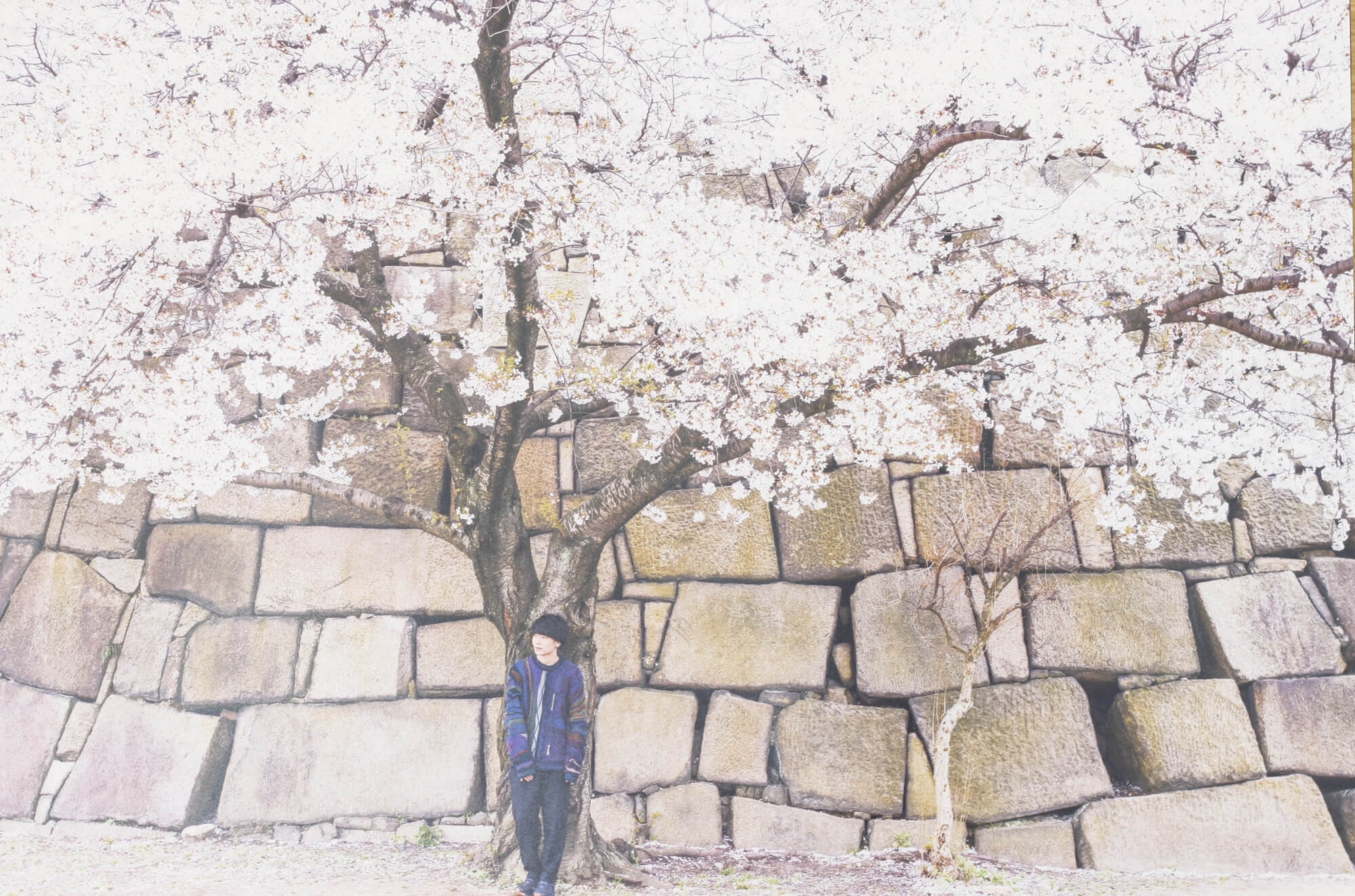 個展やグループ展にも