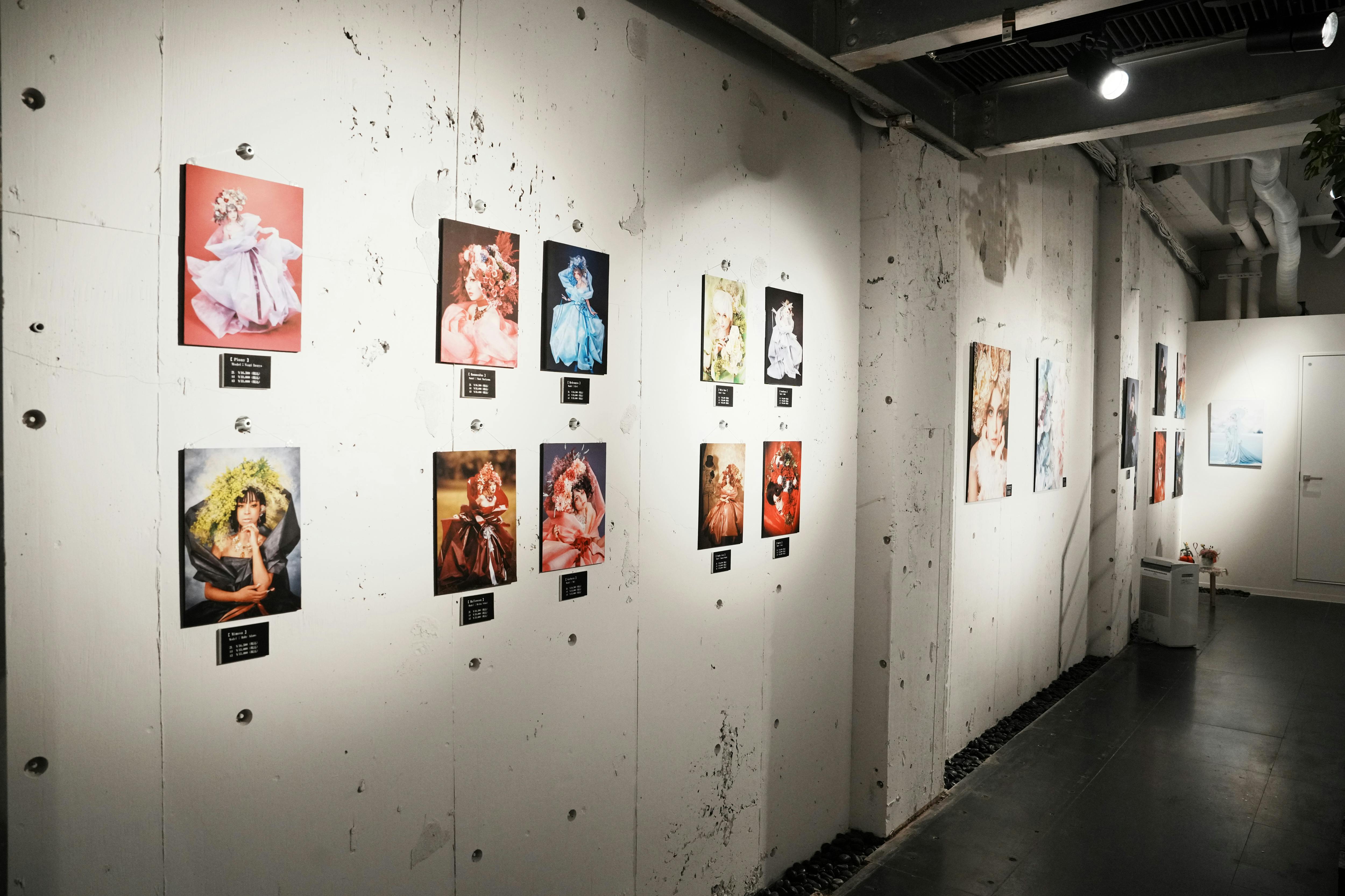 写真展使用例