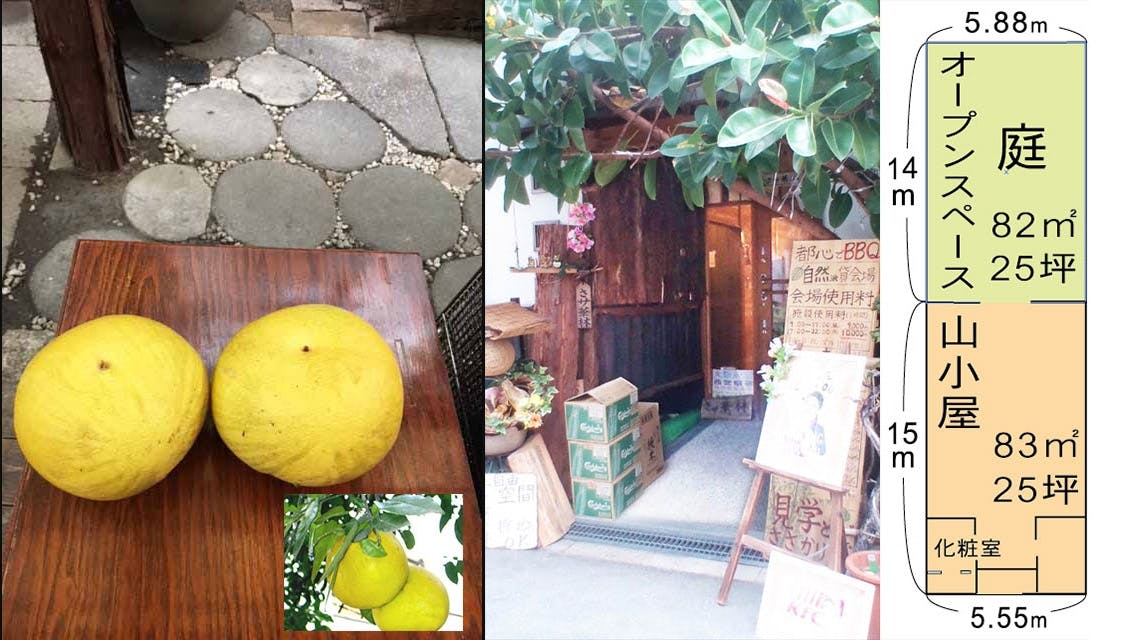 【肥後橋駅2分】パーティーやプロモーションイベントに適した南国風・庭付きイベントスペース