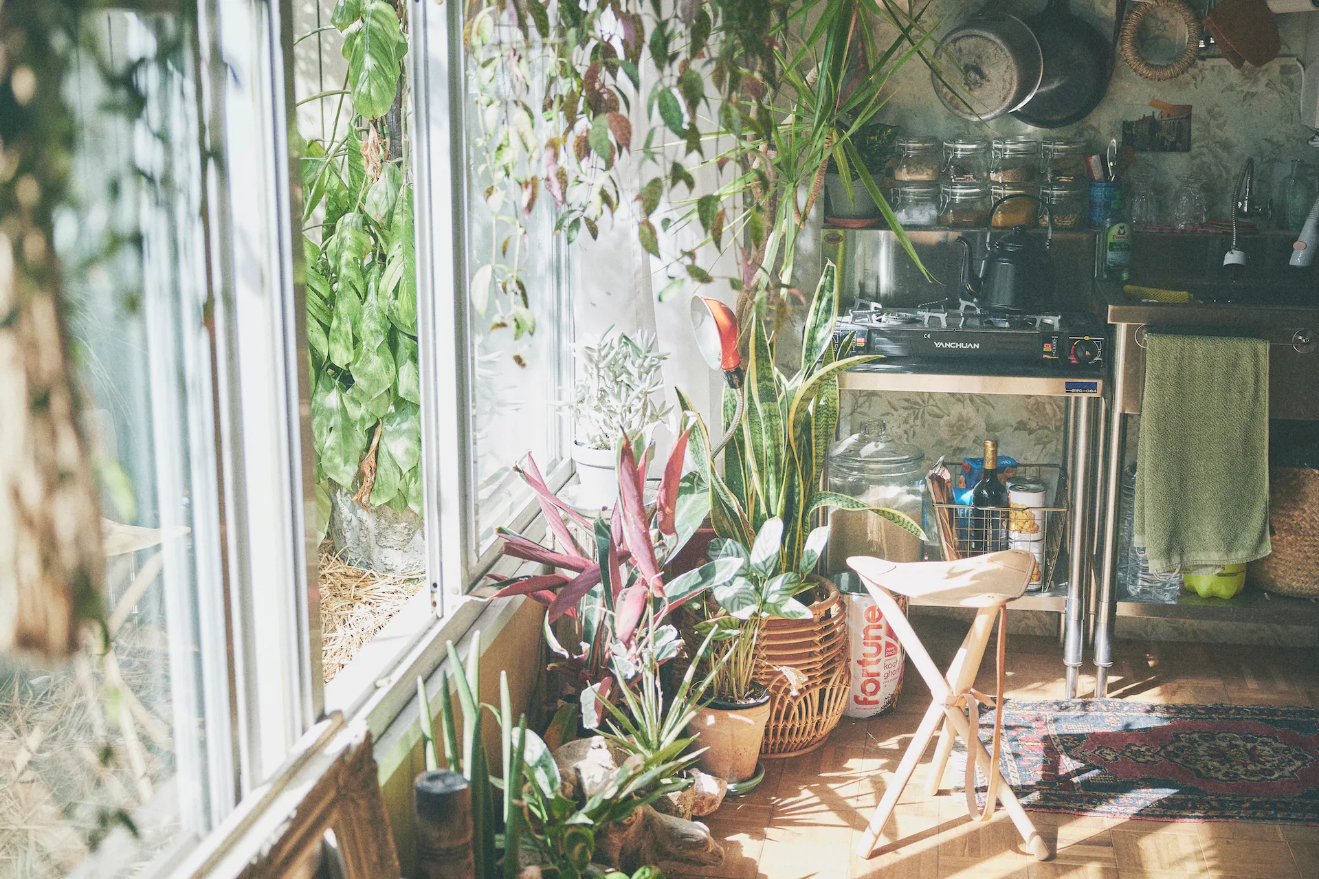 【三軒茶屋駅2分】CMやミュージックビデオ、ファッション系の撮影に最適な、山の暮らしをイメージした路面スタジオ