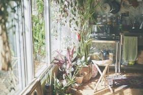 【三軒茶屋駅2分】CMやミュージックビデオ、ファッション系の撮影に最適な、山の暮らしをイメージした路面スタジオ