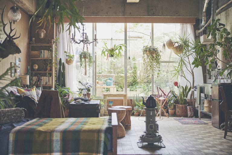 山の暮らしをイメージした室内。午前中は自然光がよく入ります。