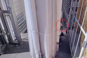 【サンデー盛岡前潟店】屋外駐車場 キッチンカーの出店に最適なホームセンター内駐車場の屋外イベントスペース