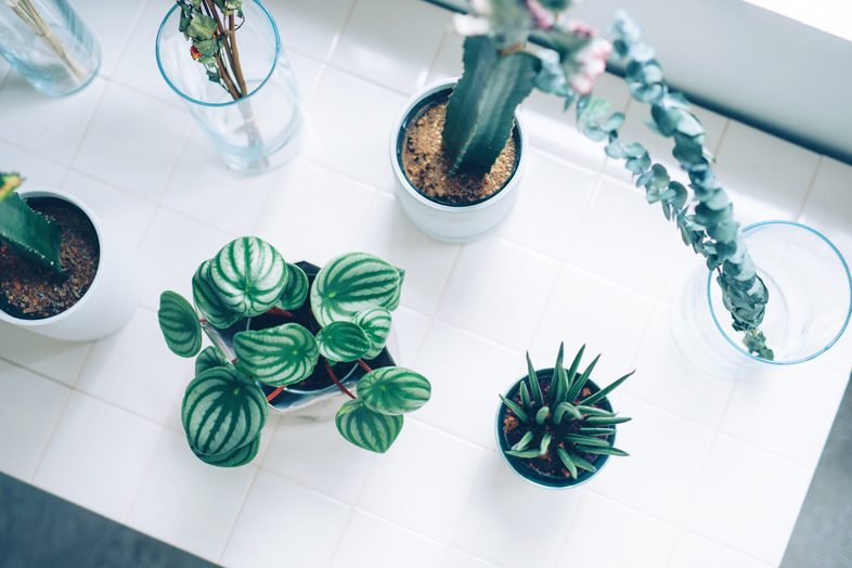 【初台駅4分】アパレル・ファッション関連のポップアップストアや展示会に適したレトロヴィンテージマンション内のプライベートスペースの画像13