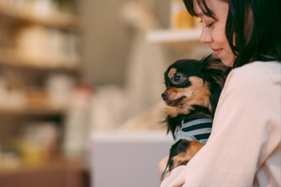 【目黒駅3分】目黒駅より徒歩3分にある撮影ロケ地に適したエシカルライフショップを利用可能なイベントスペース