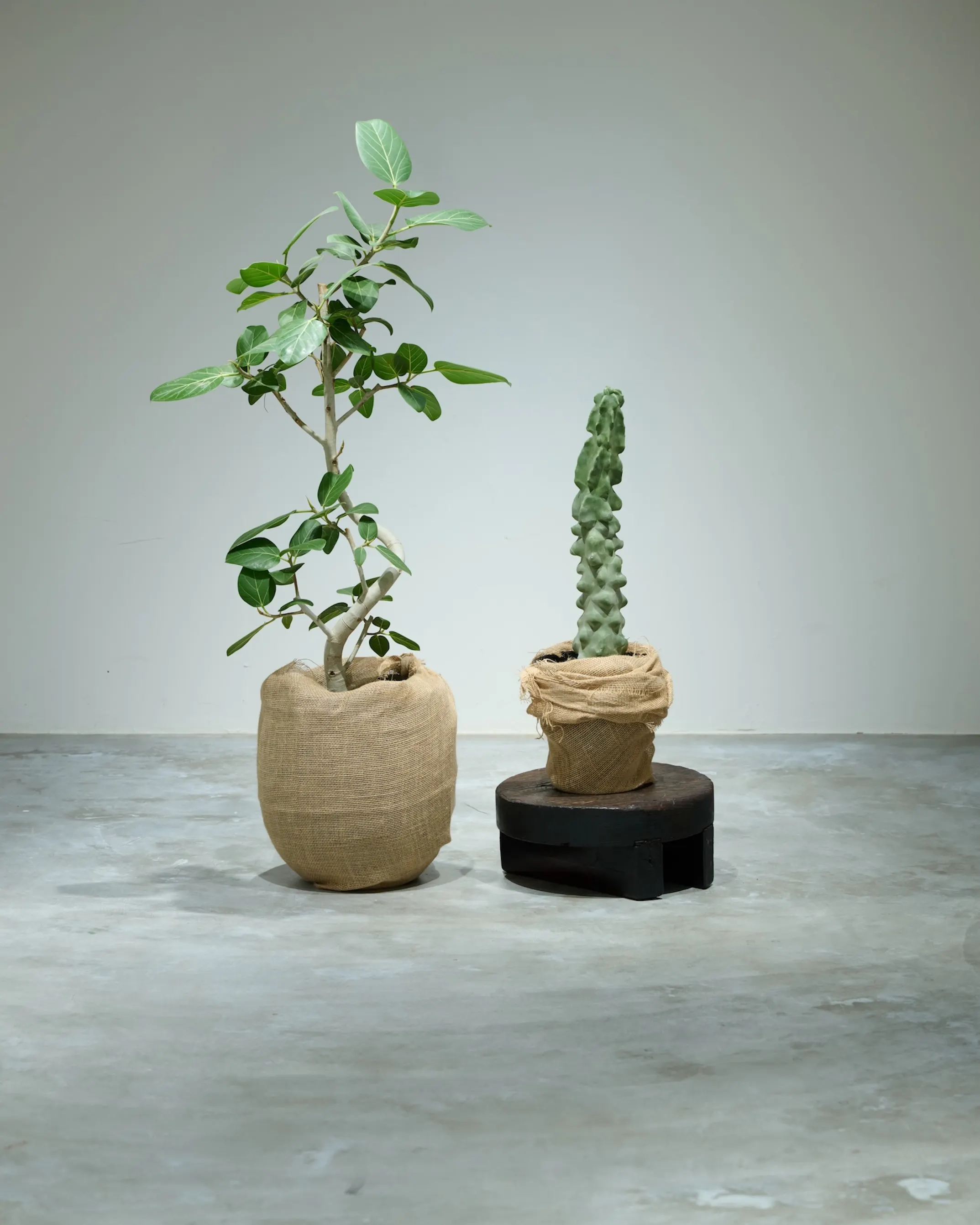 【千駄ヶ谷駅4分】展示会・POPUP・ワークショップに最適な店舗奥に広がる静謐な隠れ家スペース