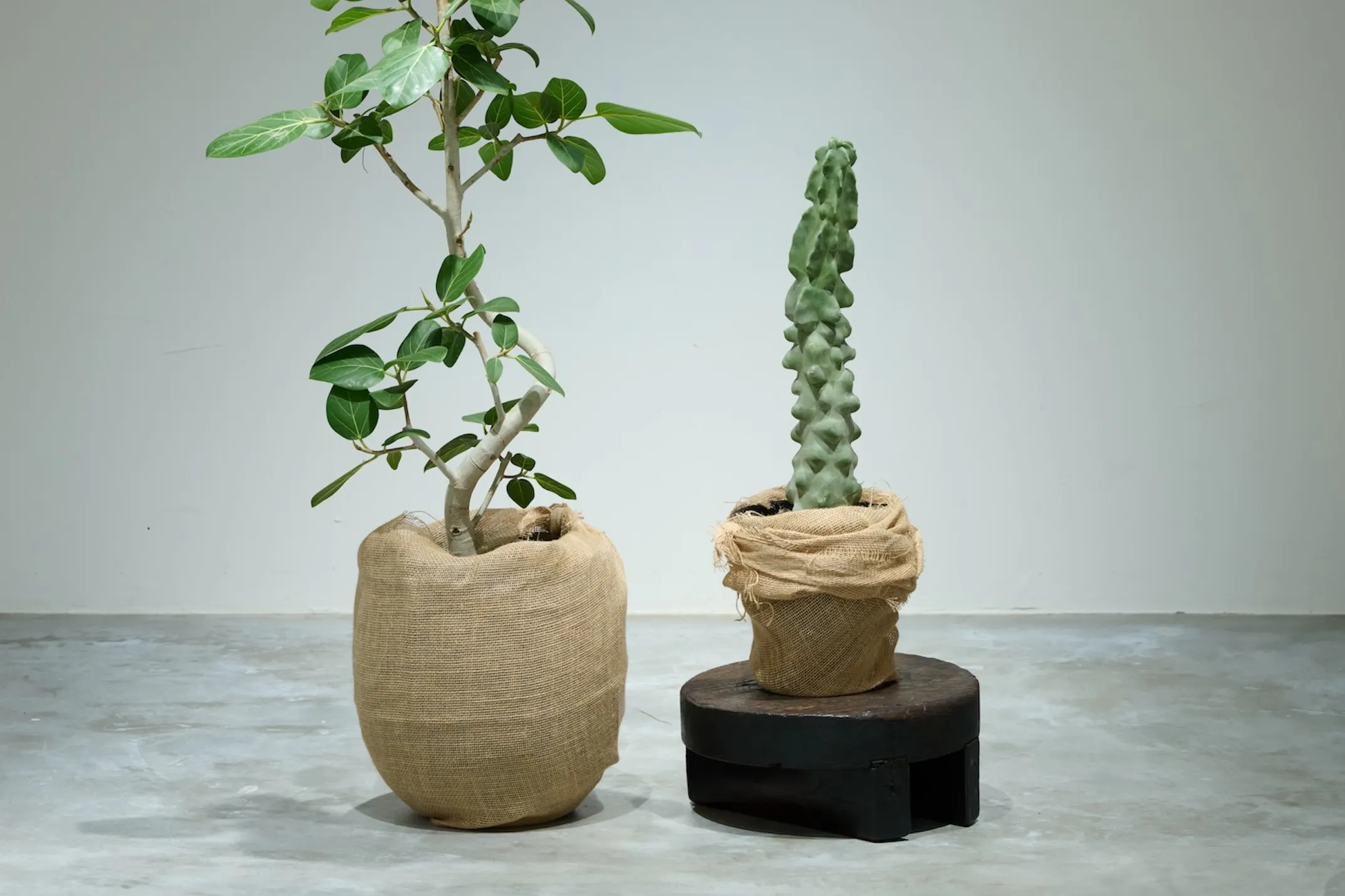 【千駄ヶ谷駅4分】展示会・POPUP・ワークショップに最適な店舗奥に広がる静謐な隠れ家スペース