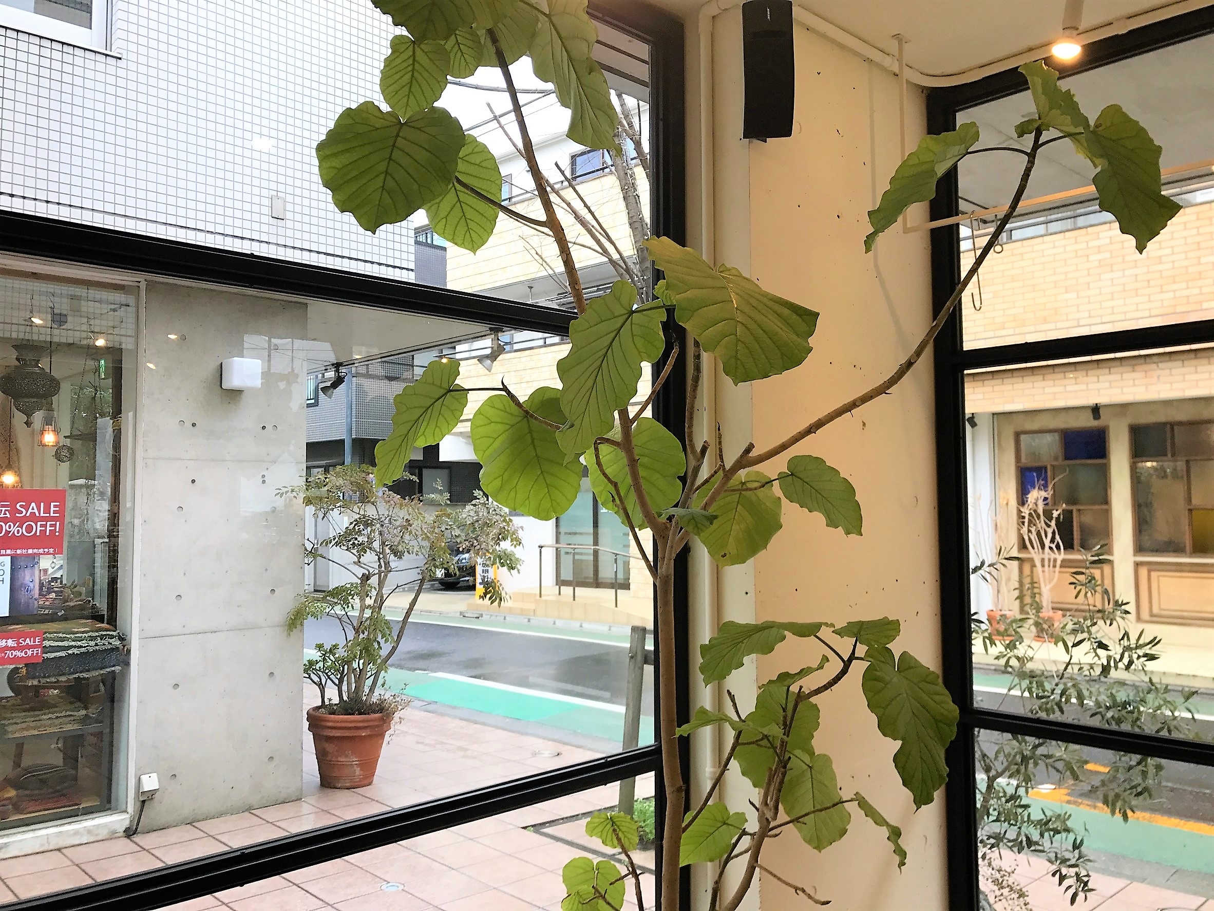 ガラス張りで通りりより一番目につく場所をレンタルスペースとしてお貸出しします