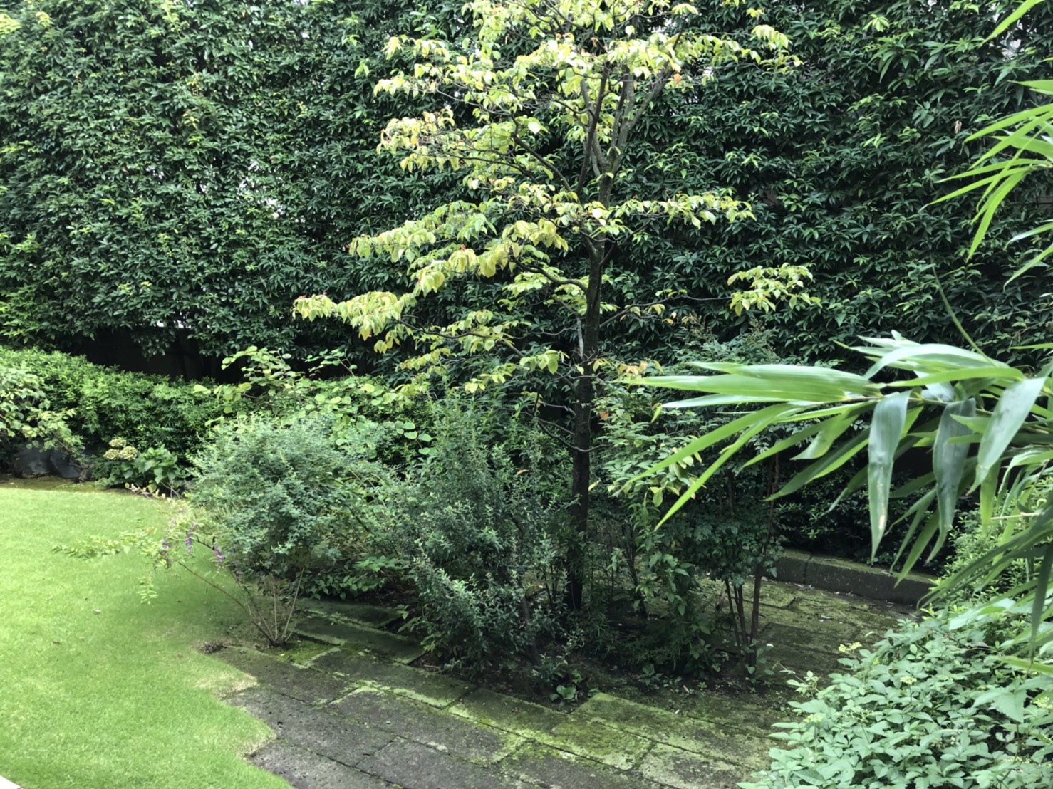 【池尻大橋駅6分】ワークショップやパーティなどに適した一軒家の屋外イベントスペース