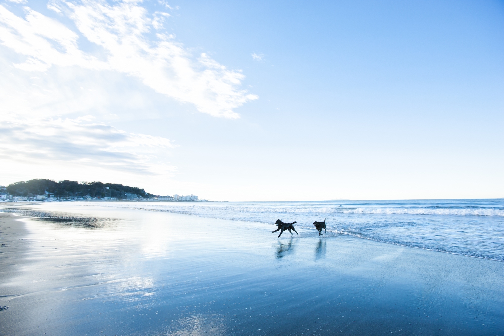 水面に反射する太陽光がまぶしいほど！