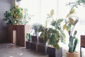 【鶯谷駅3分】24時間利用可能なおしゃれなヴィンテージスペース 展示会やワークショップ開催におすすめ!