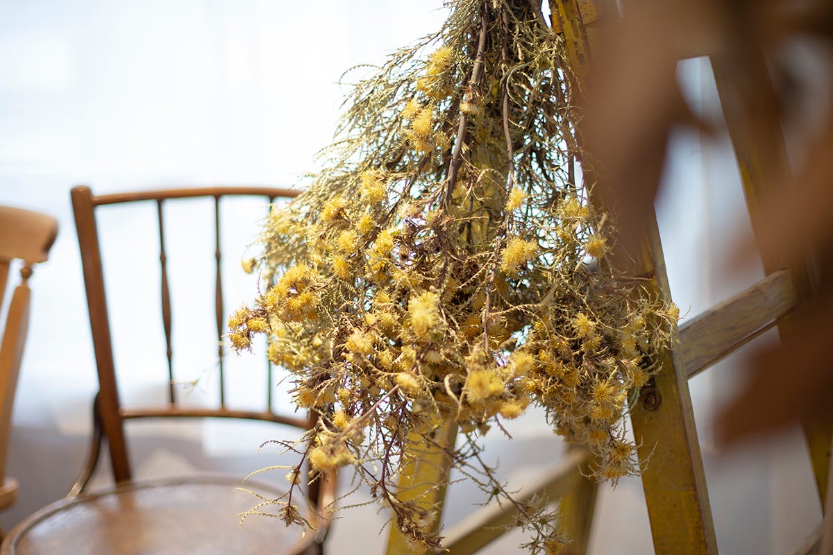 【初台駅8分】ロケや撮影会等の撮影用途やワークショップに最適な自然光が差し込むイベントスペース